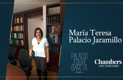María-Teresa-Palacio-en-Chambers